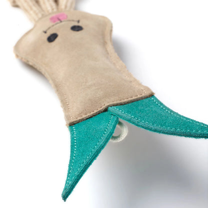 lenny the leek close up
