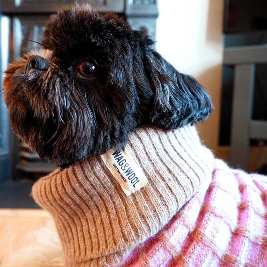 Wag & Wool Pink Paddy Dog Jumper