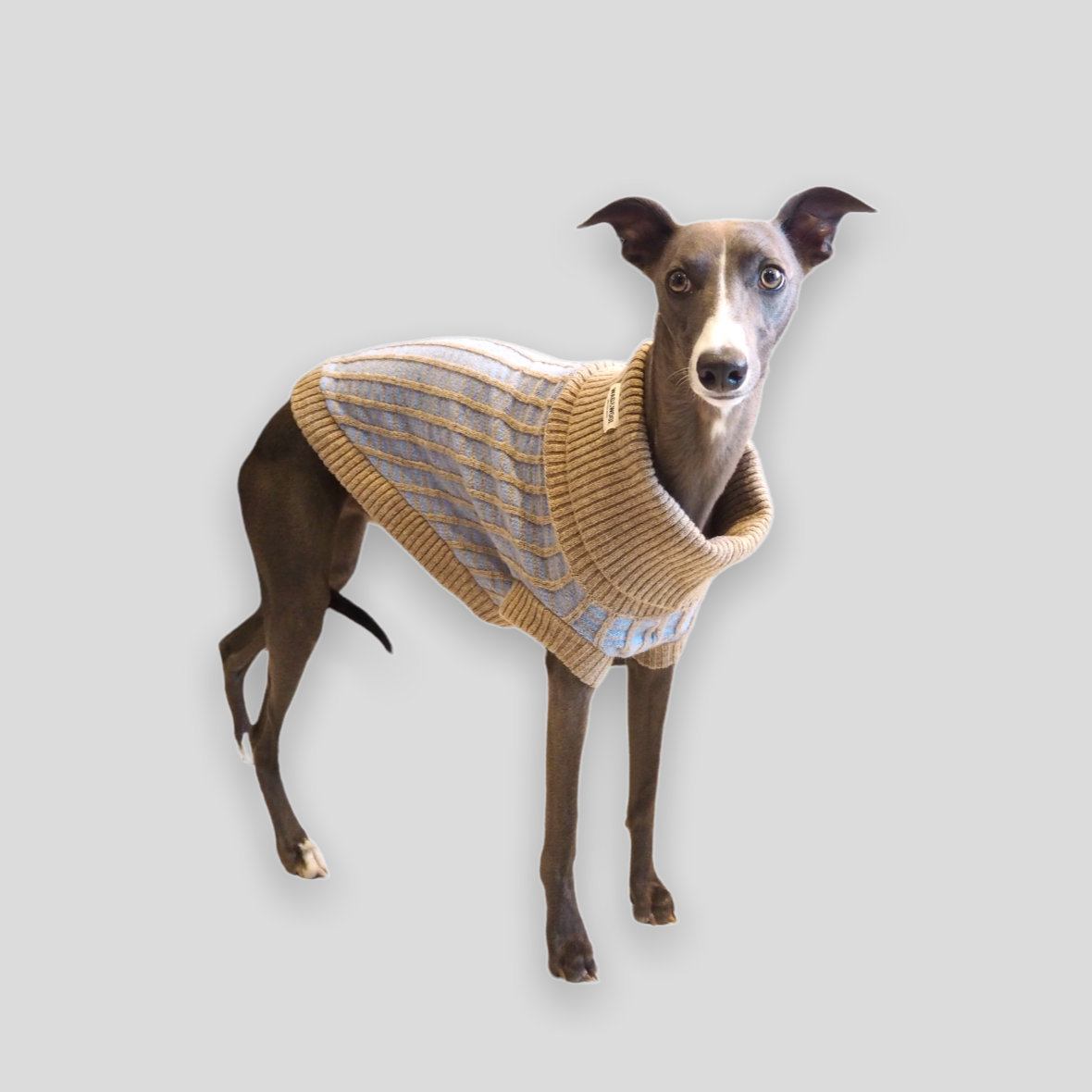 Wag & Wool Paddy Dog Jumper in Sky Blue