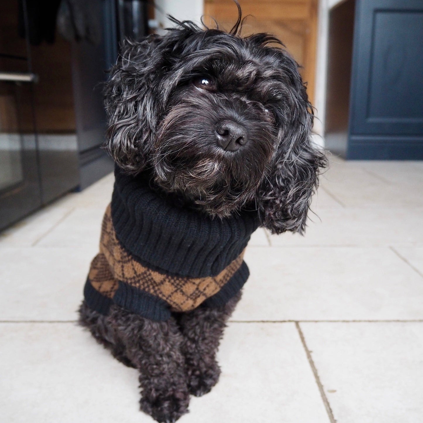 Wag & Wool Lucy Dog Jumper in Black & Brown