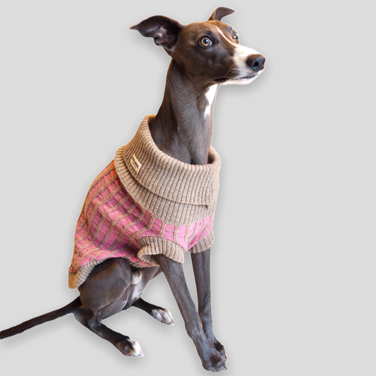 Wag & Wool Paddy Dog Jumper- 100% Hinchcliffe lambswool Made in Britain