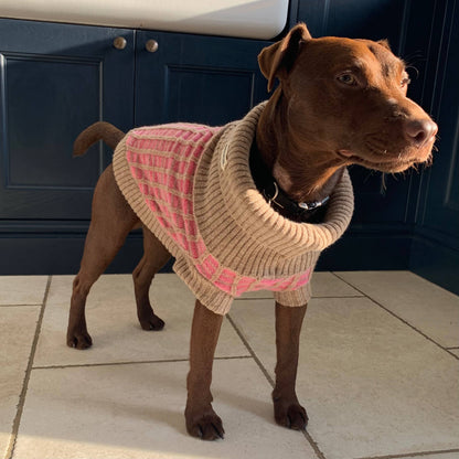 Wag & Wool Paddy Dog Jumper- 100% Hinchcliffe lambswool Made in Britain