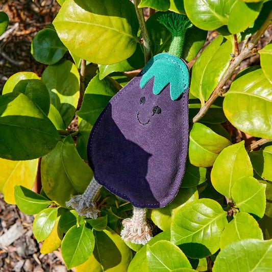 Green & Wilds Austin the Aubergine Eco Friendly Dog Toy