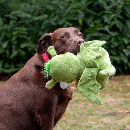 Dog holding a green dinosaur toy in its mouth outdoors.